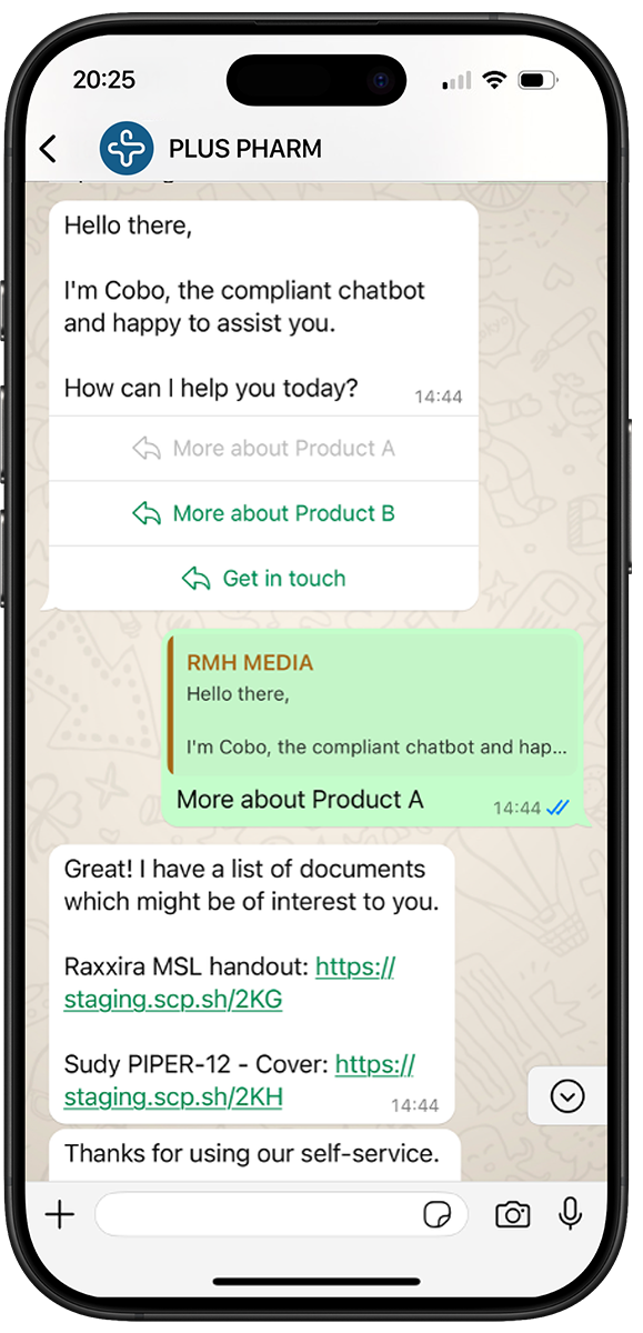iPhone WhatsApp Conversation